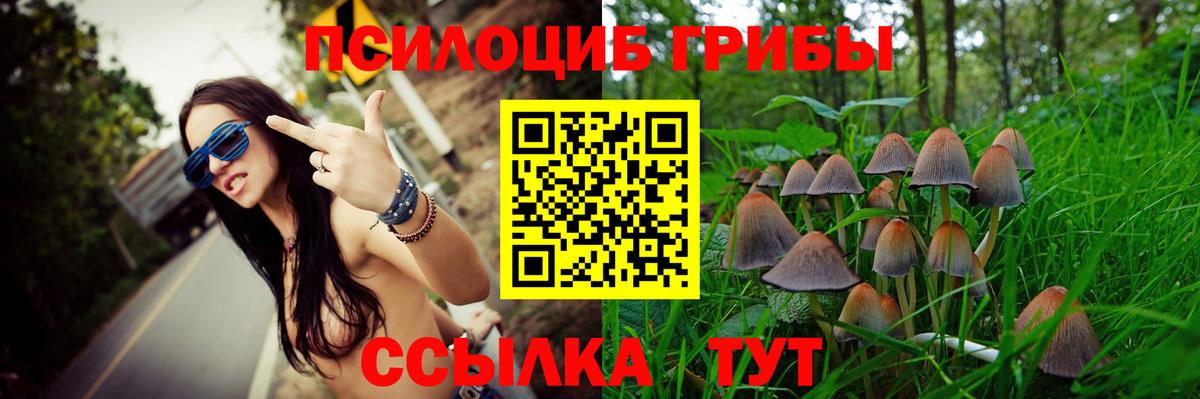 Псилоцибиновые грибы Magic Shrooms Знаменск